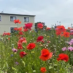Bed & Breakfast Clonmore