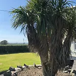 Clonmore 3* Quilty