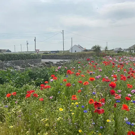 Clonmore Отель типа 