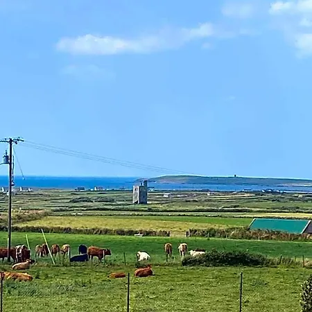 Clonmore Bed & Breakfast 3*