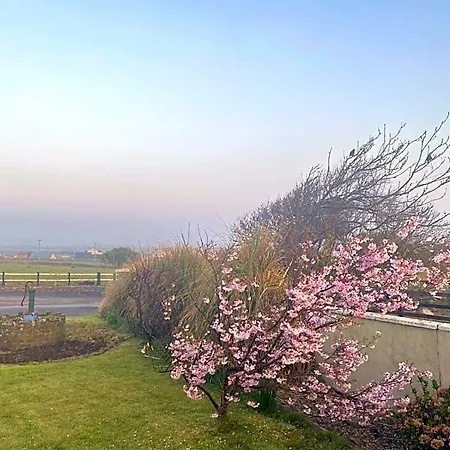 Bed & Breakfast Clonmore 3*