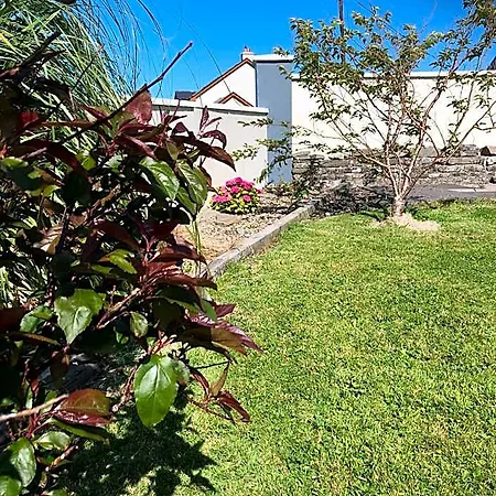 Clonmore Bed & Breakfast 3*