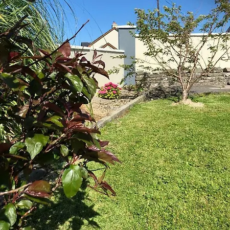Bed & Breakfast Clonmore 3*