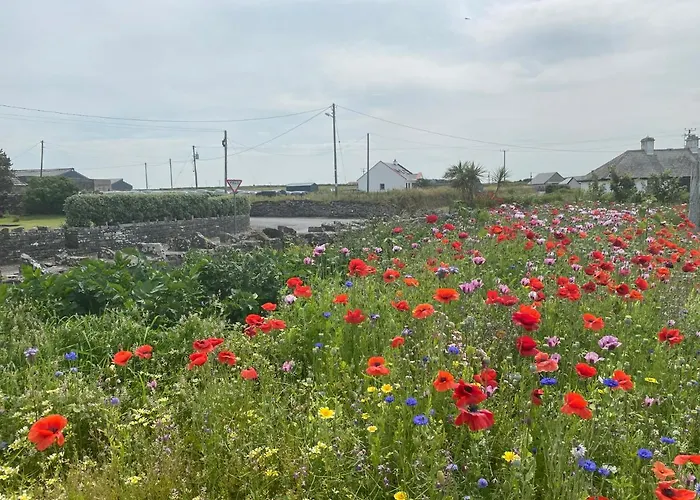 Clonmore Bed & Breakfast