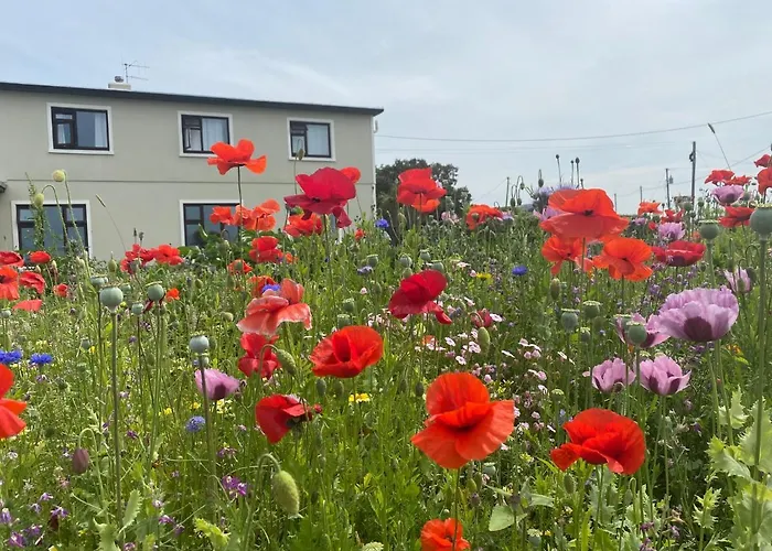 Bed & Breakfast Clonmore