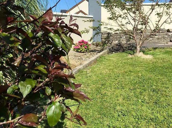 Bed and breakfast Clonmore 3*